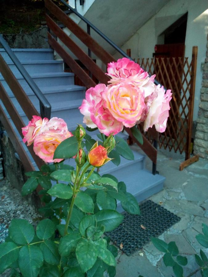 M&G Ranch Bed & Breakfast Vendaso Ngoại thất bức ảnh